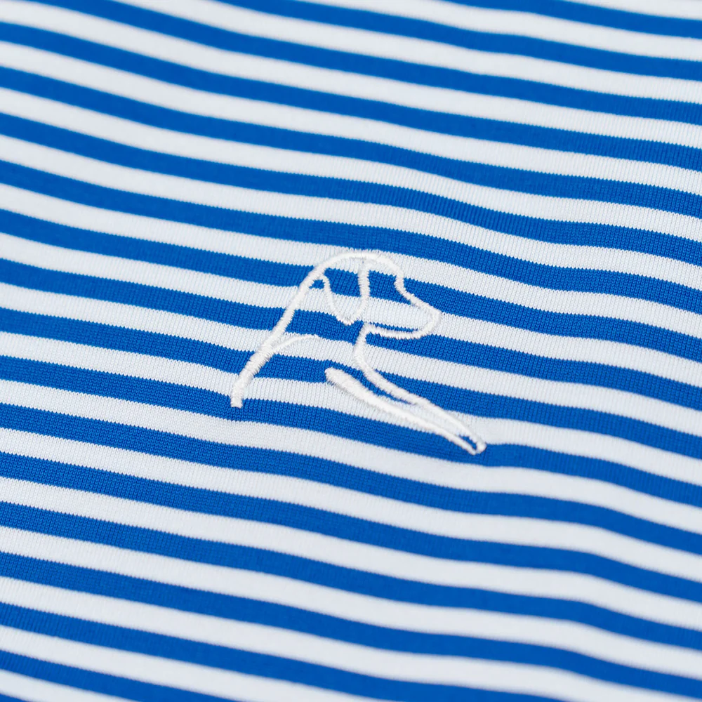 The Birdie Stripe Men's Short Sleeve Performance Polo